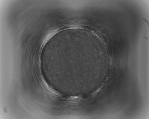 X0000102480055200809051406