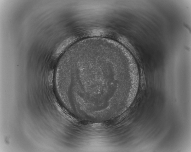 X0000102480058200809051406