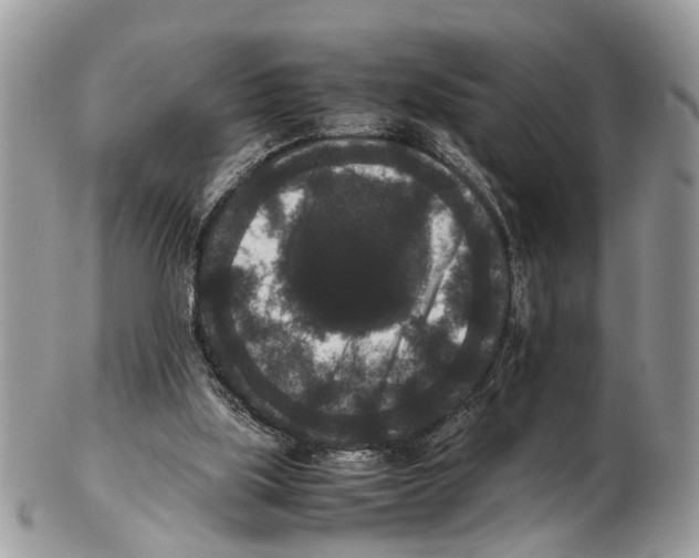 X0000102480059200809051406