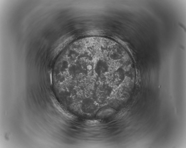 X0000102480061200809051406