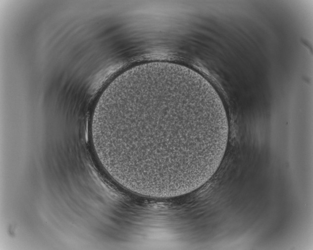 X0000102480062200809051406