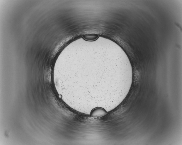 X0000102480064200809051406