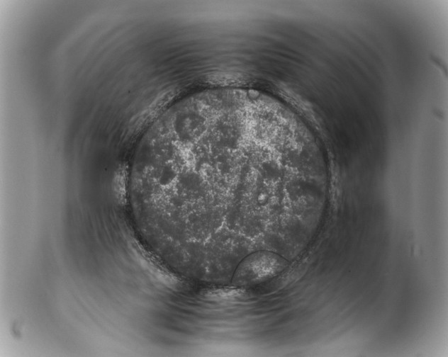 X0000102480065200809051406