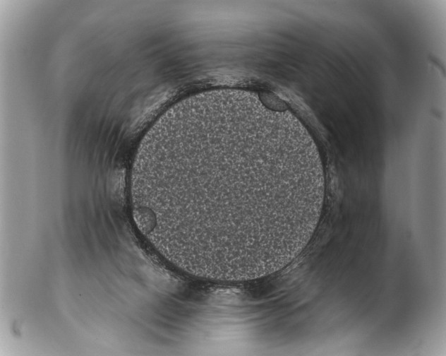 X0000102480066200809051406