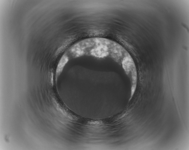 X0000102480067200809051406