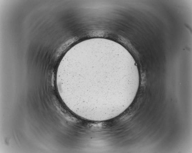 X0000102480068200809051406