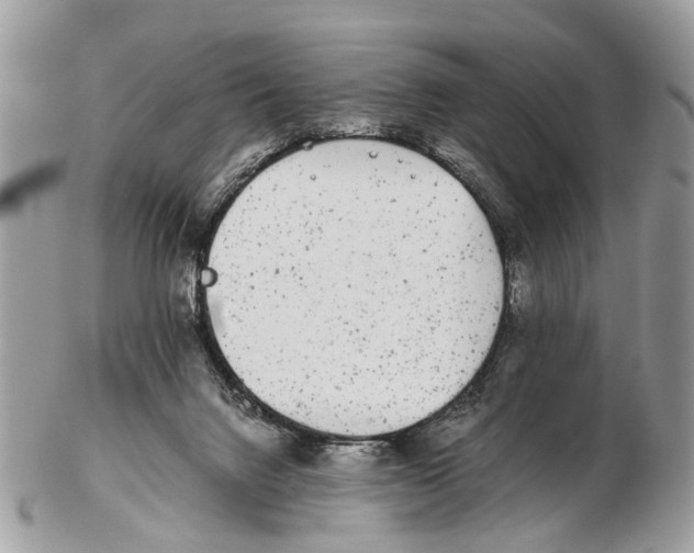 X0000102480072200809051406