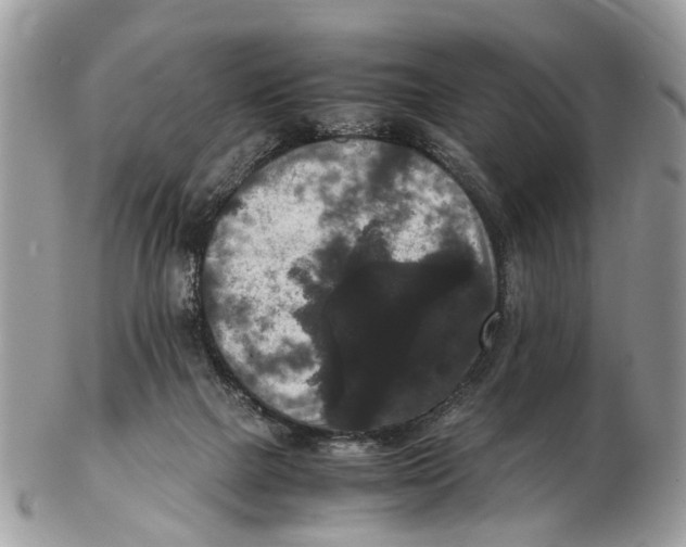 X0000102480073200809051406