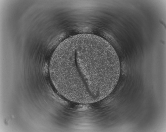 X0000102480077200809051406