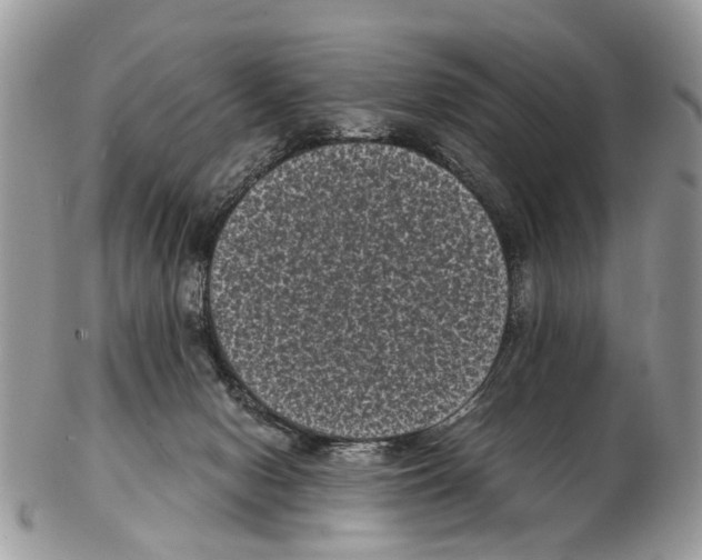 X0000102480078200809051406