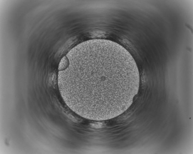 X0000102480079200809051406