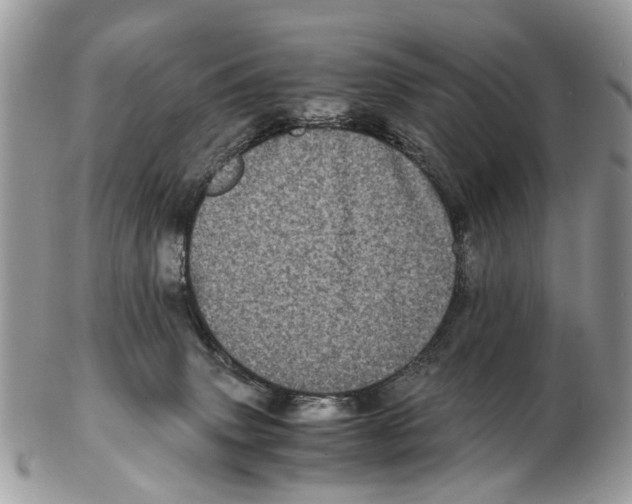 X0000102480083200809051406