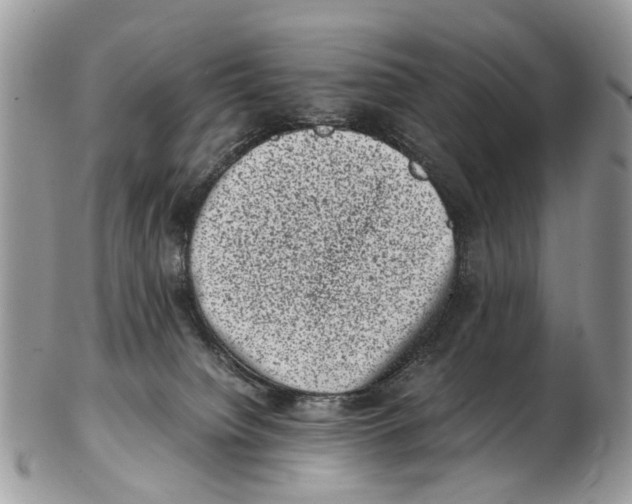 X0000102480084200809051406