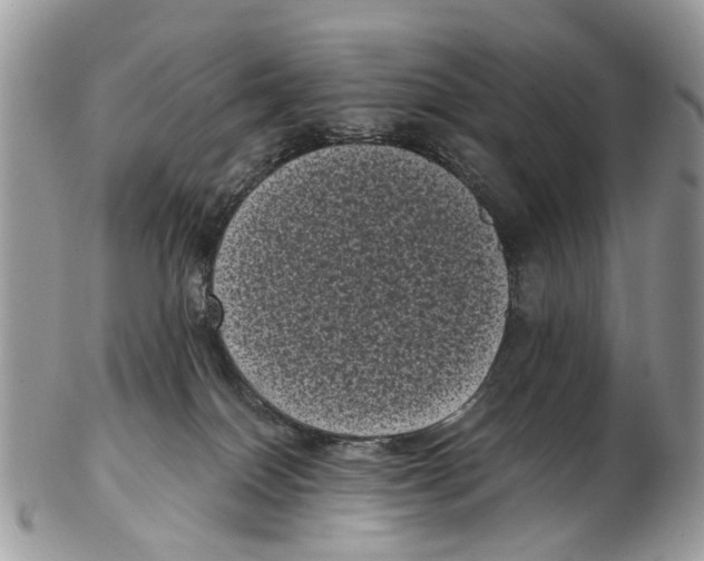 X0000102480086200809051406