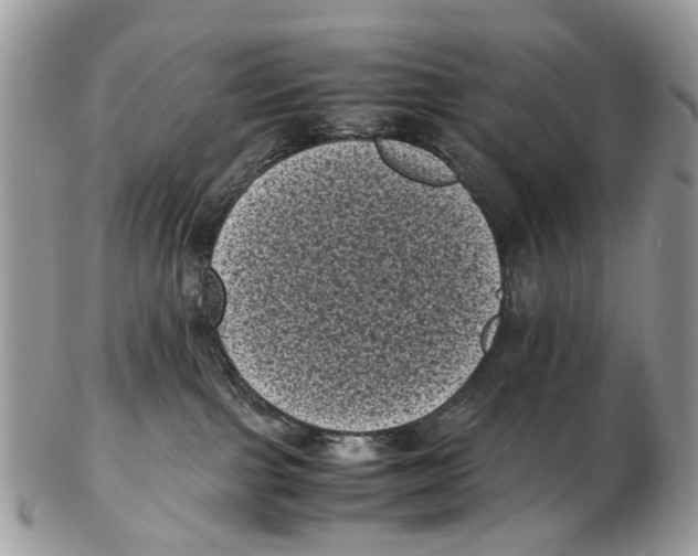 X0000102480091200809051406