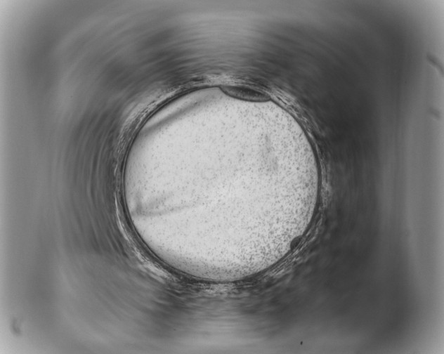 X0000102480097200809051406