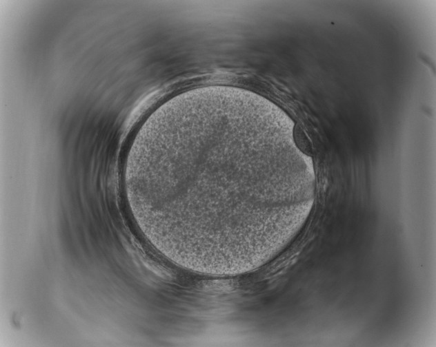 X0000102480102200809051406