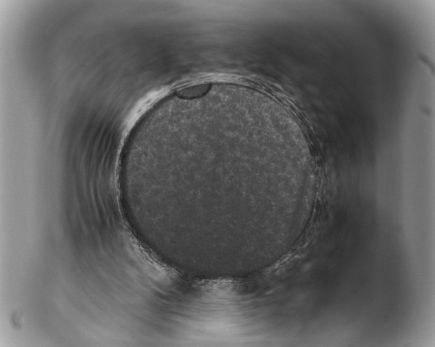 X0000102480104200809051406