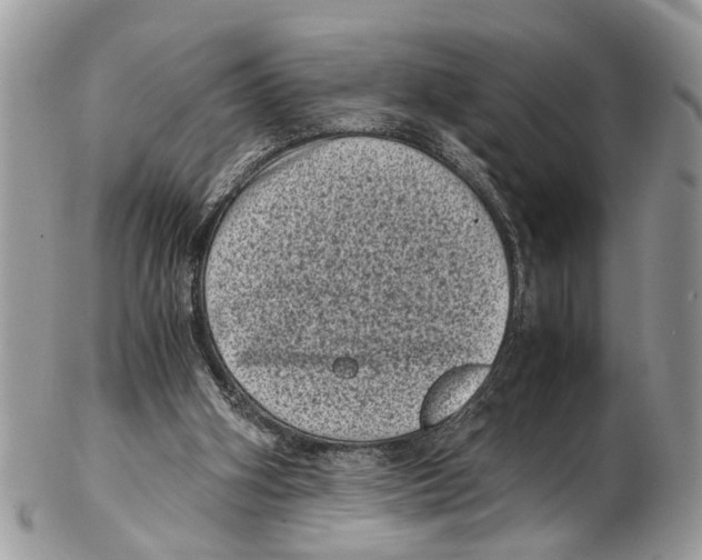 X0000102480106200809051405