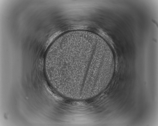 X0000102480107200809051405