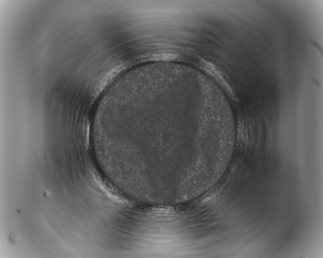 X0000102480110200809051405