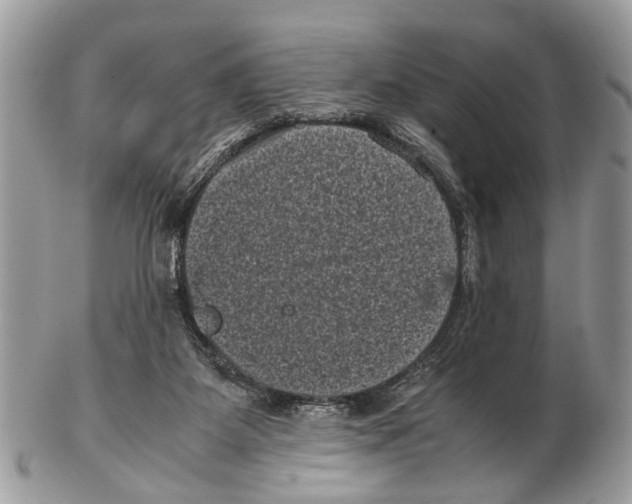 X0000102480115200809051405