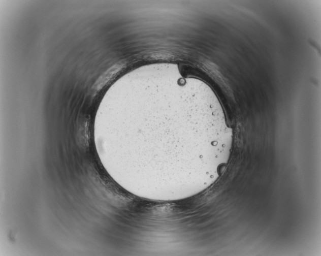 X0000102480116200809051405