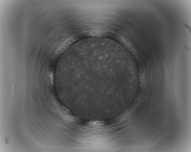 X0000102480117200809051405