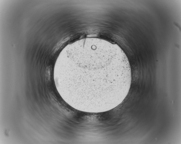 X0000102480120200809051405