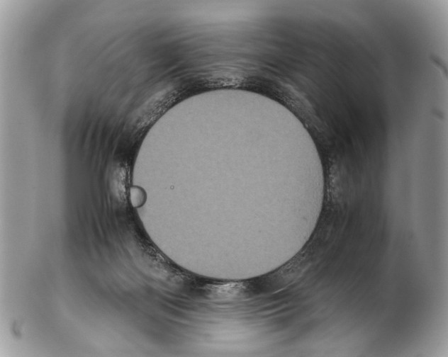 X0000102480122200809051405