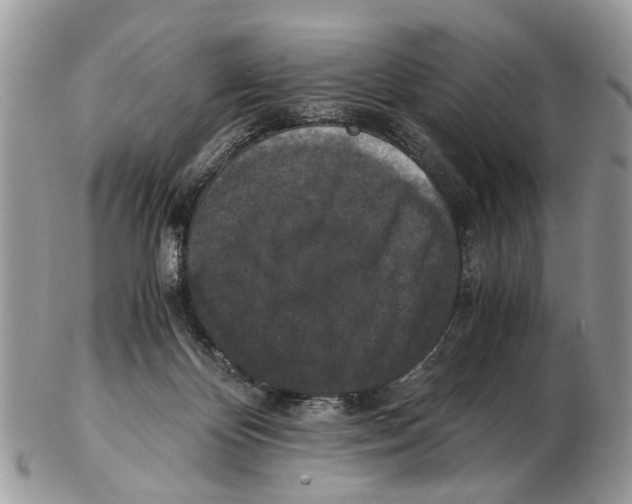 X0000102480124200809051405