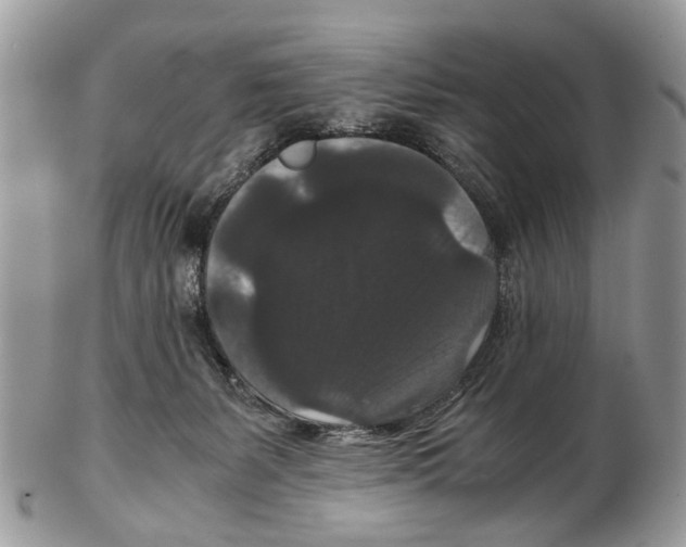 X0000102480127200809051405