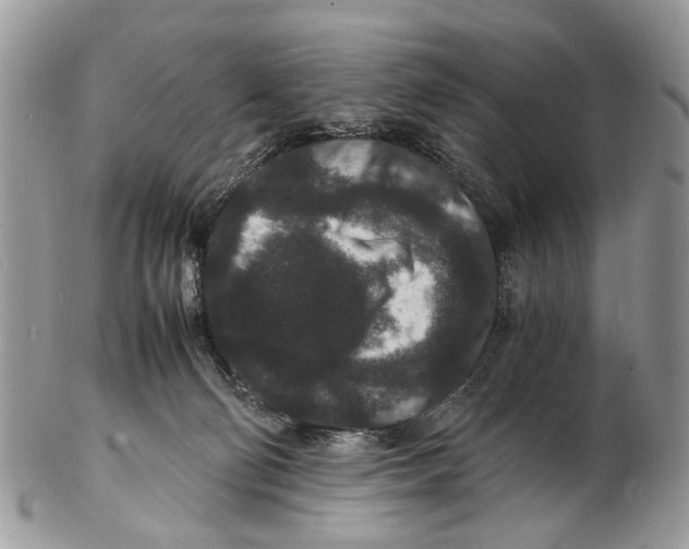 X0000102480130200809051405