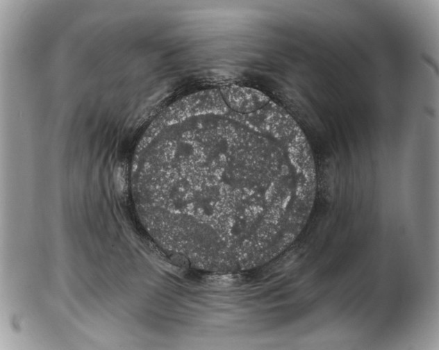 X0000102480131200809051405