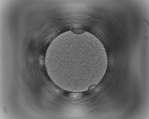 X0000102480135200809051405