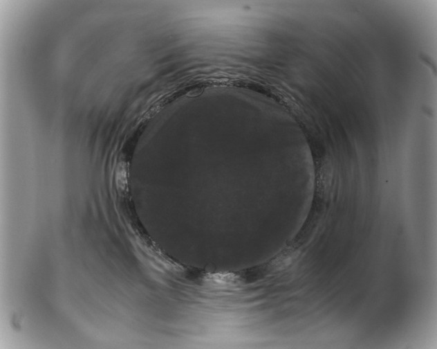 X0000102480137200809051405