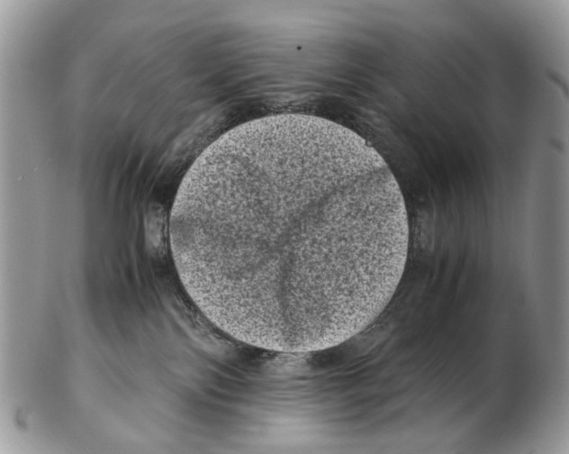 X0000102480138200809051405