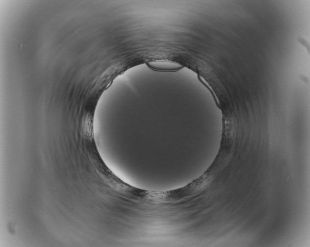 X0000102480143200809051405