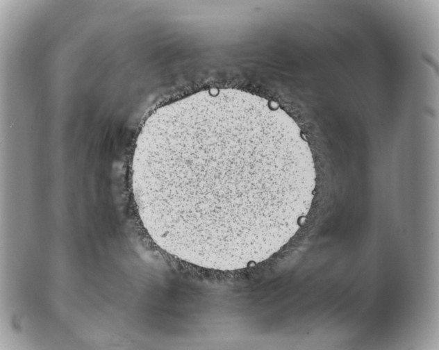 X0000102480144200809051405