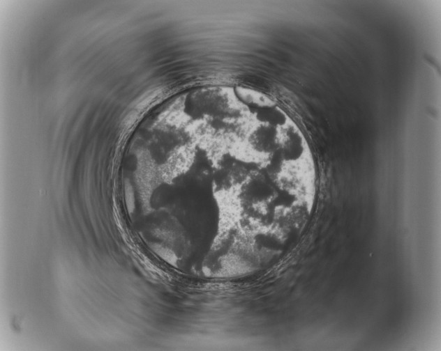 X0000102480145200809051404