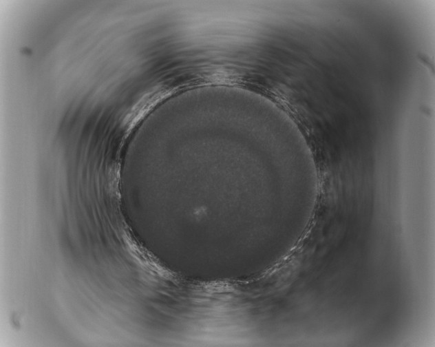 X0000102480146200809051404