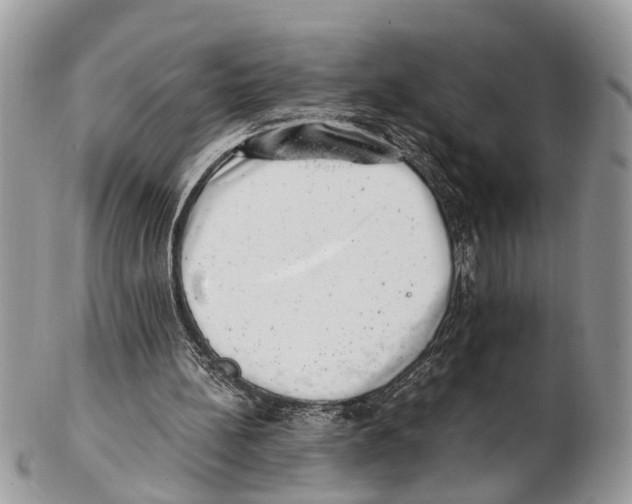 X0000102480148200809051404