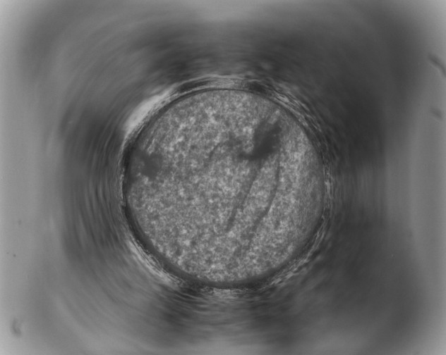 X0000102480149200809051404