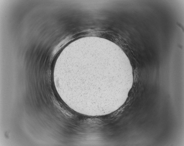 X0000102480150200809051404