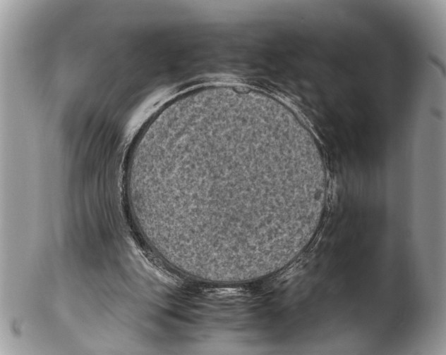 X0000102480151200809051404