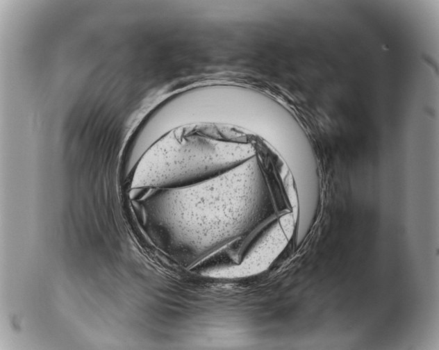 X0000102480152200809051404