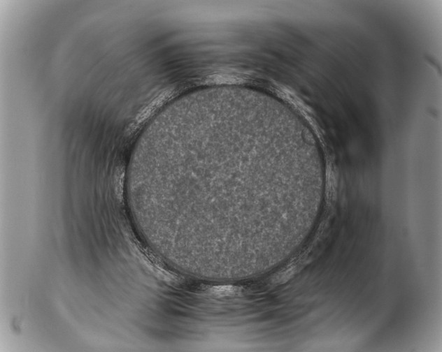 X0000102480153200809051404