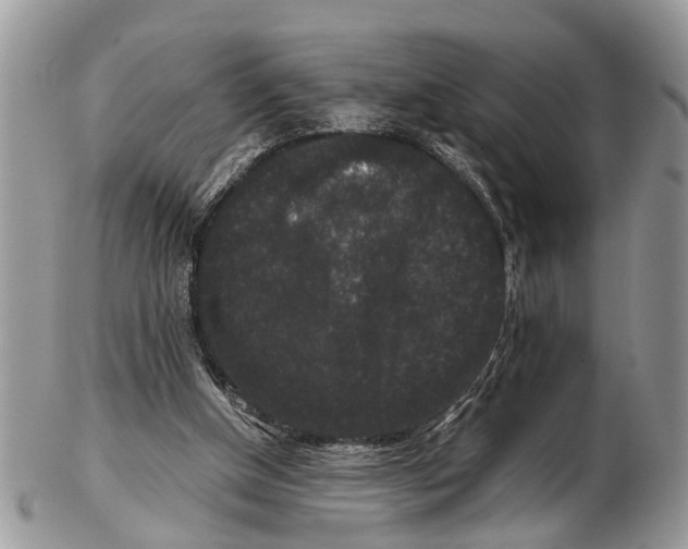 X0000102480154200809051404