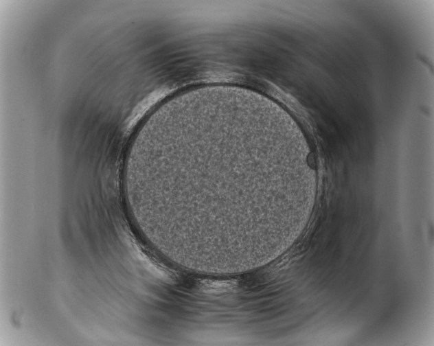 X0000102480155200809051404