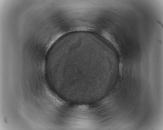 X0000102480156200809051404